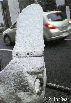 雪よりも風が冷たいような気がします(> <、