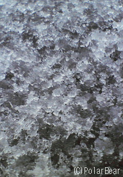 雪よりも風が冷たいような気がします(> <、
