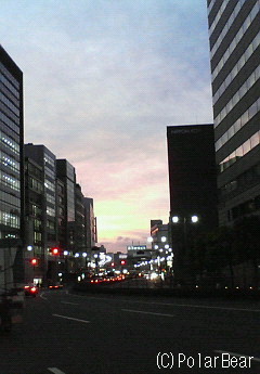 きょうは帰宅時に夕焼けを観ました~♪