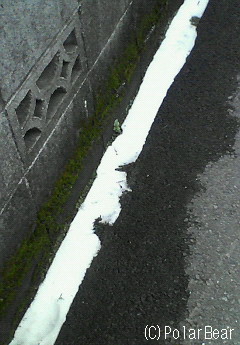 青空と雪(^ー^*