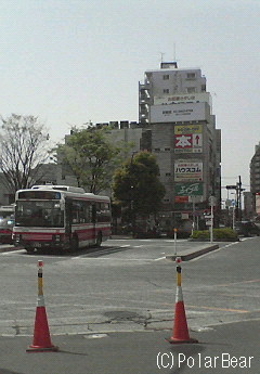 タコさん滑り台がありました(:。)ミ