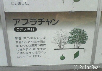 高尾山を登ってきました(^ー^* その9山頂にて