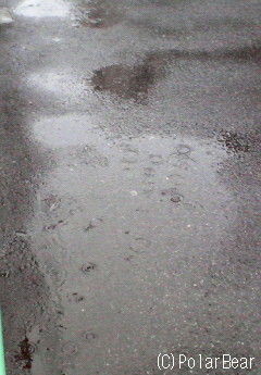 東京・平河町もしっかりと雨が降っております(^ー^;