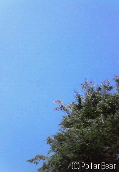 緑がとてもきれいで眩しかったです(^ー^*