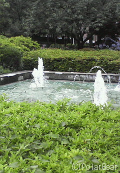 後楽園駅に隣接している礫川公園の噴水です(^ー^*