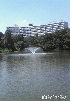 噴水を見ましたら涼しくなったような気がしました(^▽^*