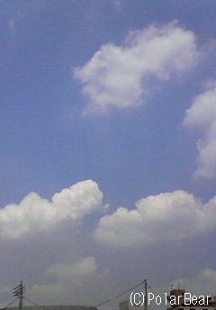 夏ー!という空です!日差しです!