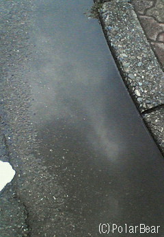 あっ!と言う間に水溜りもできちゃいました。