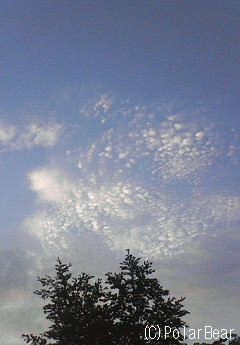 雲は秋の雰囲気に