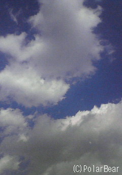 まだまだ夏の空ですね(^ー^;