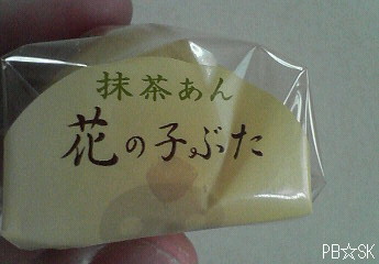 【羽田空港】から連れて帰った子ぶたちゃん♪