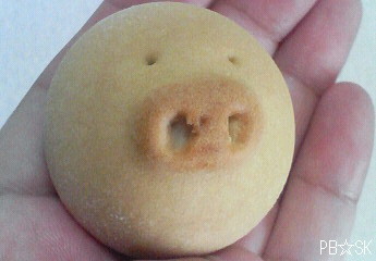 【羽田空港】から連れて帰った子ぶたちゃん♪