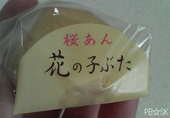 【羽田空港】から連れて帰った子ぶたちゃん♪