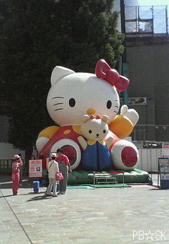 キティちゃんが座っていました♪