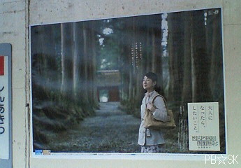【戸隠神社】杉並木の道の風景です♪