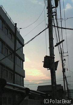 写真を撮ろうと外に出ましたら・・・