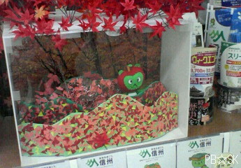 アルクマくんディスプレイがまたまた増えておりました!