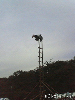 小金井なかよし市民まつりに取材をしてきました(その4)