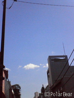 朝の厚い雲もどこへやらの青空です(^^*)東京平河町にて