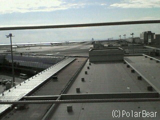 新しい展望デッキです(^ー^* 羽田空港にて