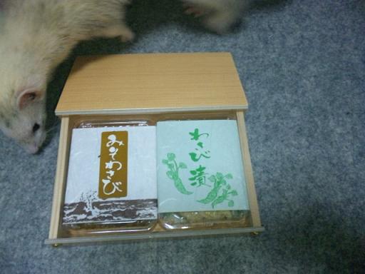 わさびとわさびさんです！