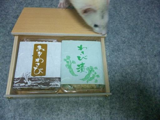わさびとわさびさんです！
