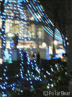 大国魂神社さん参道のイルミネーションですd(´▽`)b