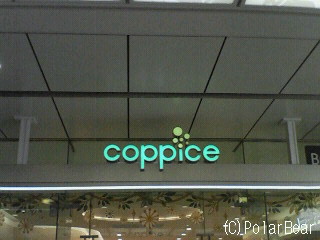 吉祥寺・COPPiCE(コピス)さんのクリスマス飾りです☆