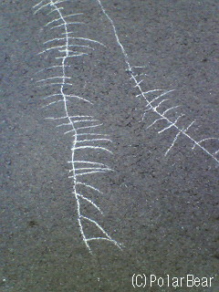 【線路】に違いありません(^▽^*