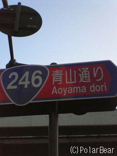 歩道に黄色い絨毯が敷かれているようでした♪