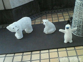 シロクマさんとペンギンの赤ちゃんの