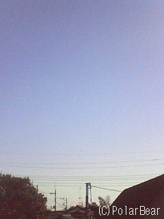 昨夜と同じ所の今朝の写真になります(^ー^*