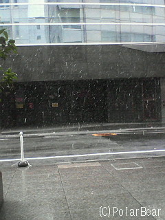 2月11日の東京の雪は~。