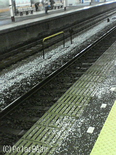 まさかあんなに降るとは思いませんでしたが
