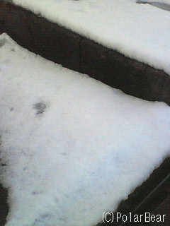 ふんわりな雪もあります♪