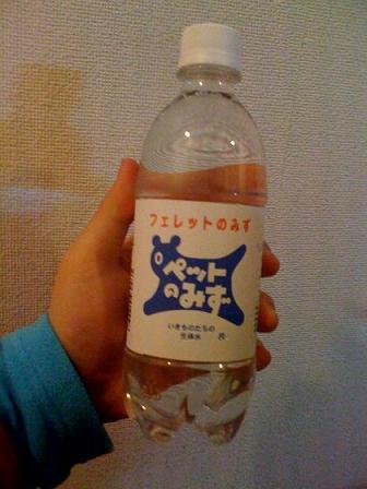 フェレットさんが好きなアレのお話です!