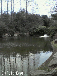 こちらの水辺は、どこでしょう~か(^▽^*