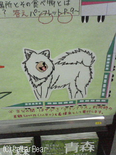 鯵ヶ沢町の【わさお】くんが、とってもハンサムです!!