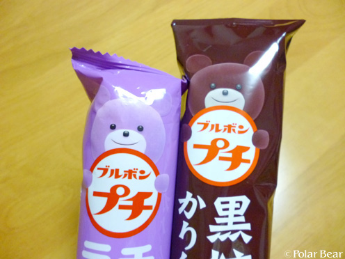 茶色いプチクマさんと藤色のプチクマさん(^^)