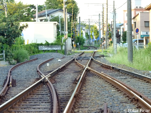 【柴又帝釈天】さん(^▽^*其の五 柴又駅そばの踏切から