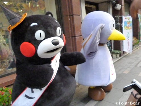 ハロウィン帽子どっちがお似合い？【くまモン＆コバトン】