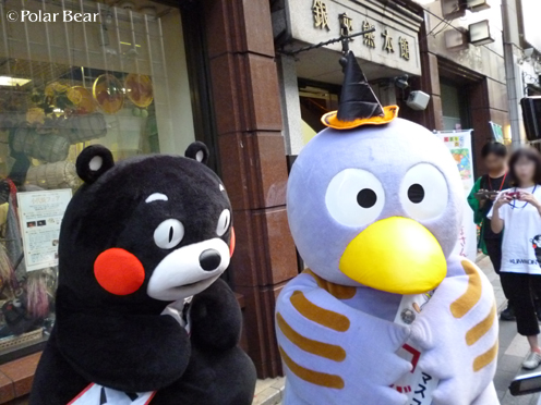 ハロウィン帽子どっちがお似合い？【くまモン＆コバトン】