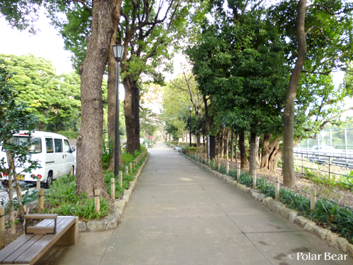 半蔵門、千鳥ヶ淵公園周辺を歩きました（＾▽＾*　その2