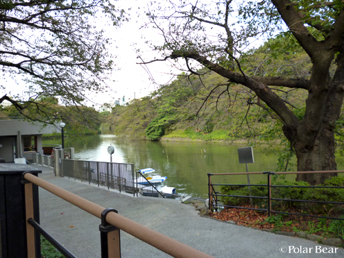 半蔵門、千鳥ヶ淵公園周辺を歩きました（＾▽＾*　その3
