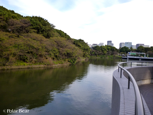 半蔵門、千鳥ヶ淵公園周辺を歩きました（＾▽＾*　その3