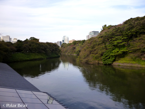 半蔵門、千鳥ヶ淵公園周辺を歩きました（＾▽＾*　その3