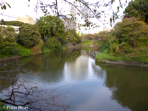 半蔵門、千鳥ヶ淵公園周辺を歩きました（＾▽＾*　その3