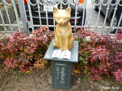 熊本市内でもネコさん達に出会いました（＾＾*