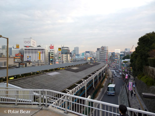 白黒の【パンダ橋】です！