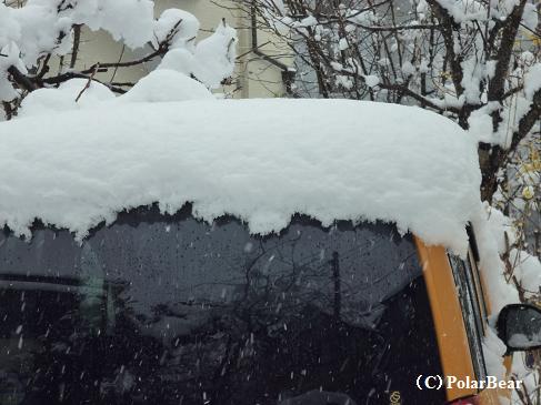クルマの屋根に積もった雪は